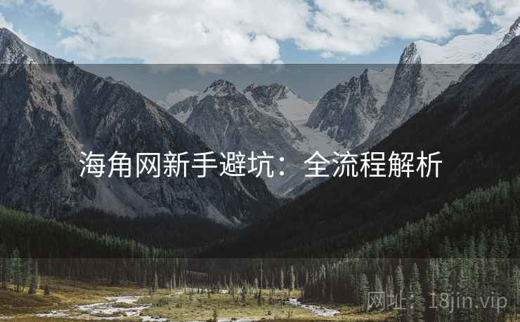 海角网新手避坑：全流程解析