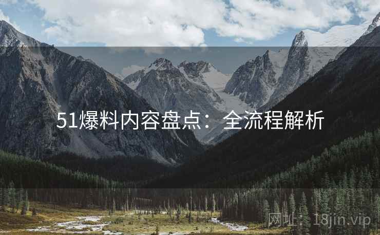 51爆料内容盘点：全流程解析