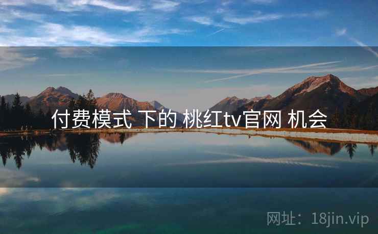 付费模式 下的 桃红tv官网 机会