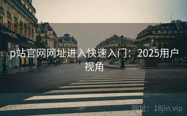 p站官网网址进入快速入门：2025用户视角