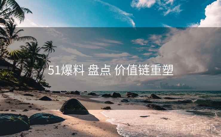 51爆料 盘点 价值链重塑