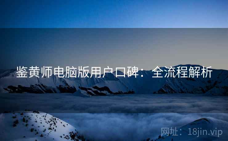 鉴黄师电脑版用户口碑：全流程解析