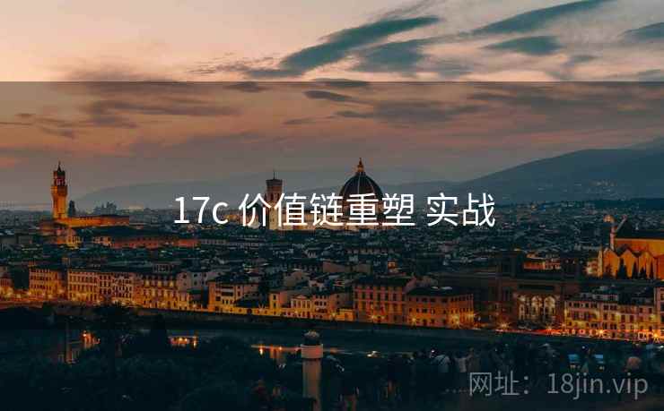 17c 价值链重塑 实战