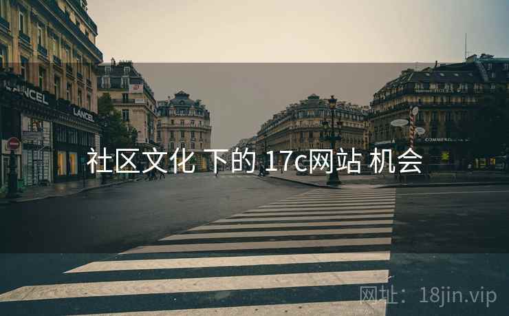 社区文化 下的 17c网站 机会