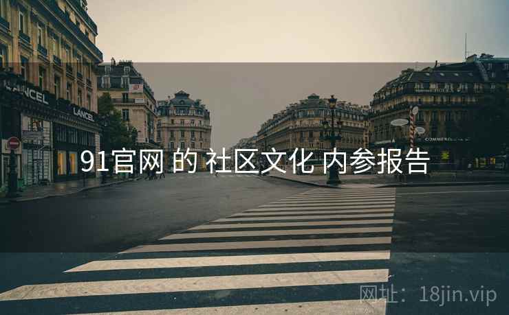 91官网 的 社区文化 内参报告