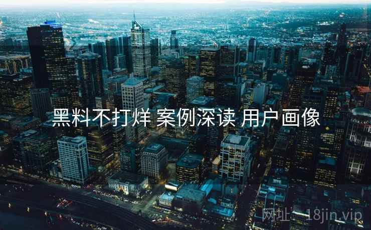 黑料不打烊 案例深读 用户画像