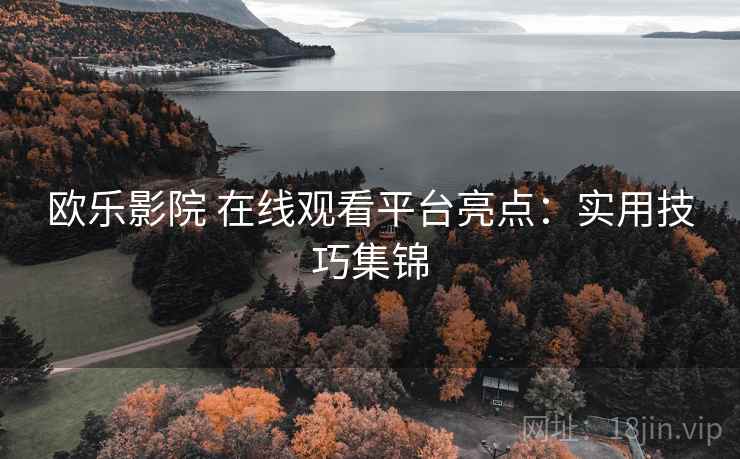 欧乐影院 在线观看平台亮点：实用技巧集锦