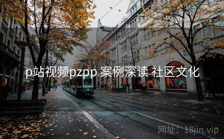 p站视频pzpp 案例深读 社区文化